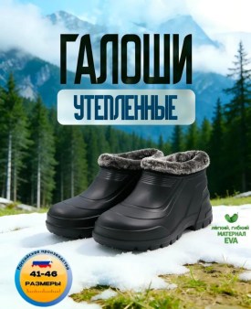 Одежда