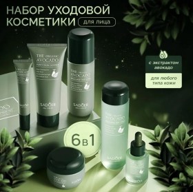 Одежда