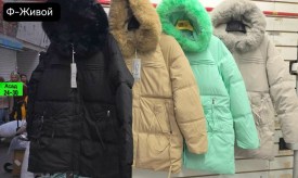 Верхняя одежда