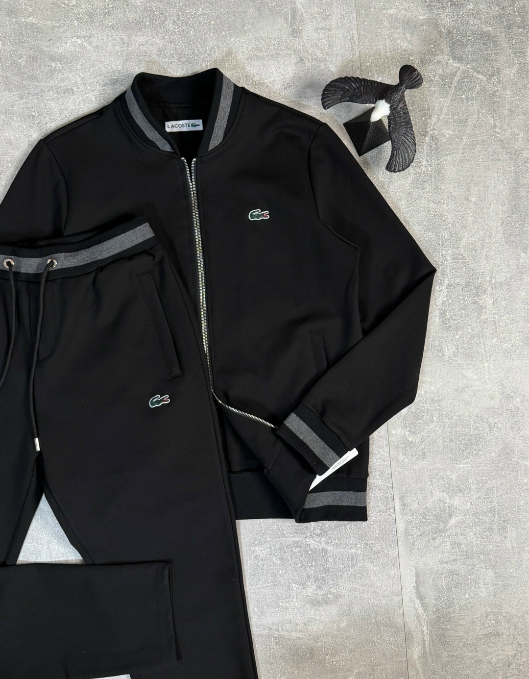 мужской спортивный костюм,спортивный костюм lacoste мужской,спортивный костюм lacoste,спортивные костюмы для мужчин,спорт костюм лакоста