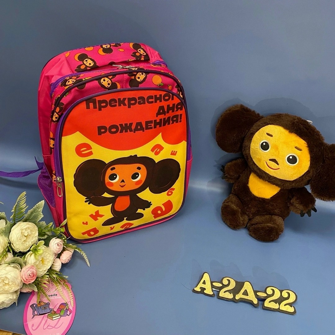 школьные рюкзаки,рюкзак школа,рюкзак,рюкзак портфель школьный,рюкзак детский