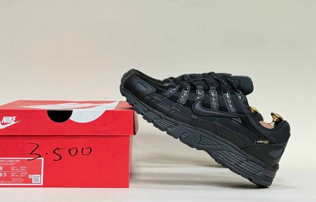 кроссовки nike p-6000,nike p 6000 gore tex,кроссовки,кроссовки мужские nike,демисезонные кроссовки найк p-6000 gore-tex