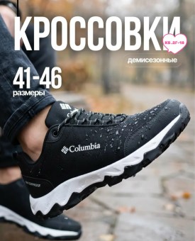 Одежда