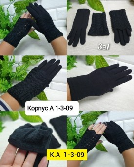 Одежда