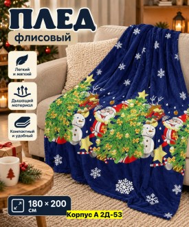 Одежда