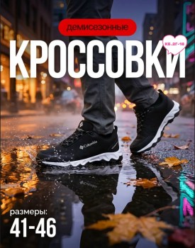Одежда