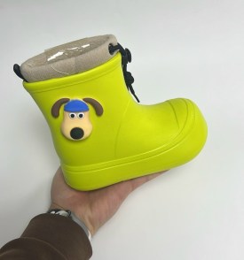 Сапоги