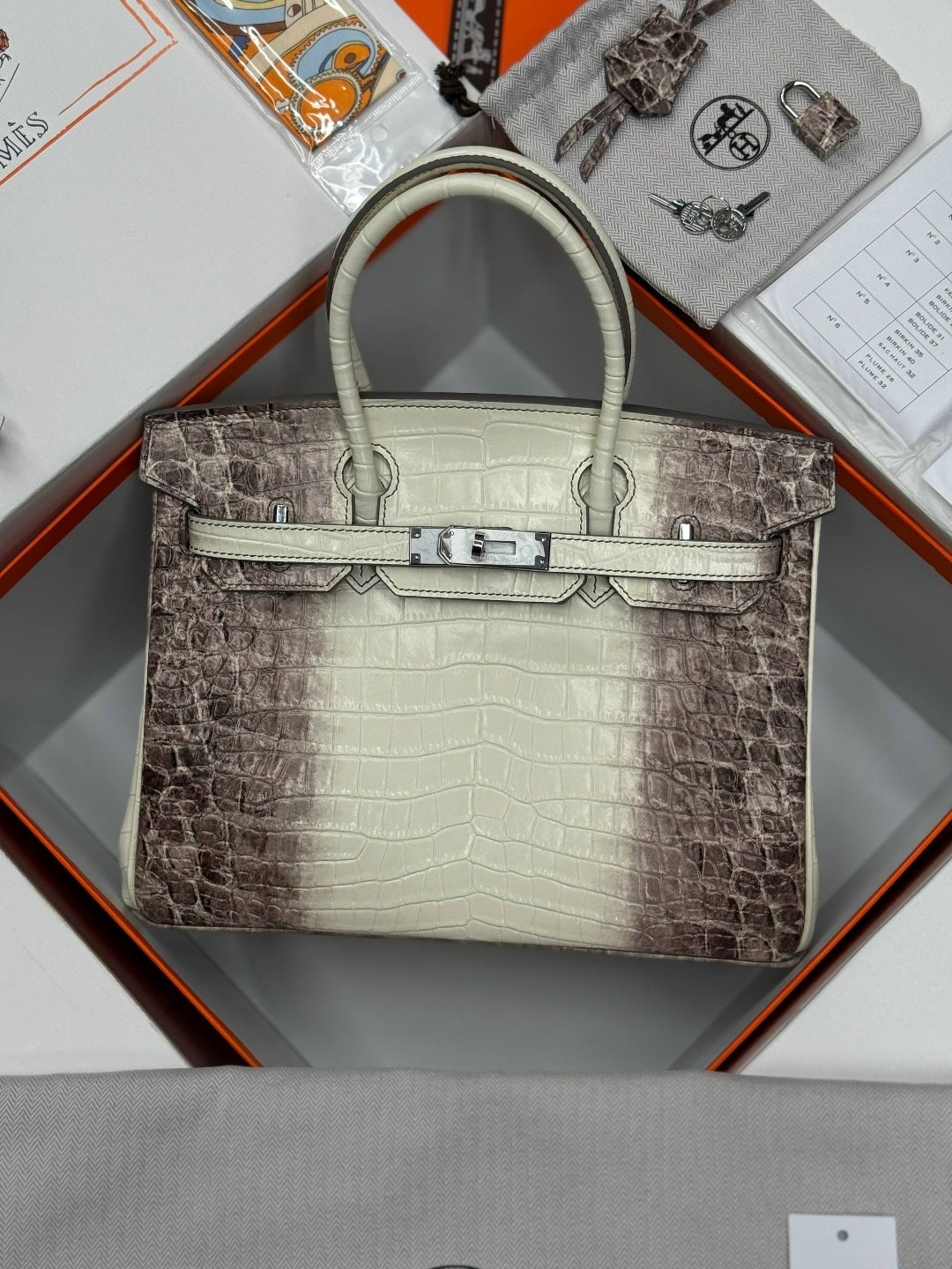 сумка hermes birkin,hermes birkin,сумка женская hermes,сумка эрмес биркин крокодил,birkin bag