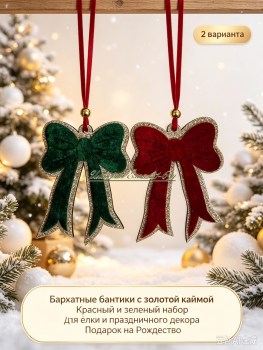 Одежда