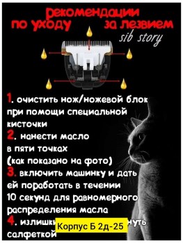 1000 мелочей