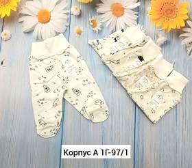 Одежда