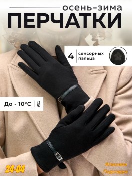 Одежда