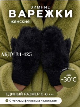 Одежда