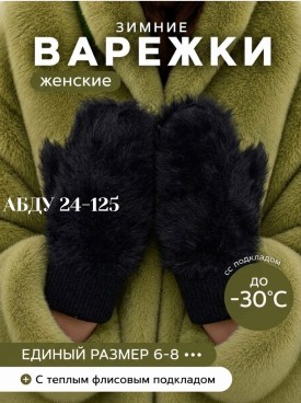 Одежда