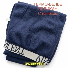 Одежда