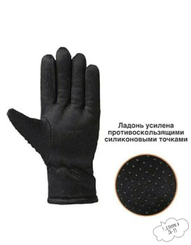 Одежда
