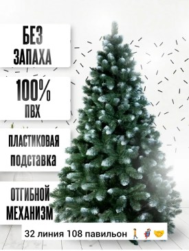 Одежда