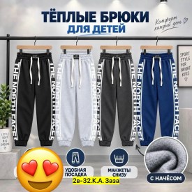 Штаны