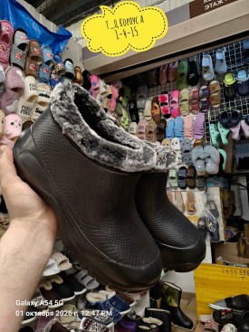 Одежда