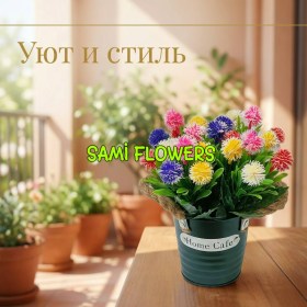 Цветы