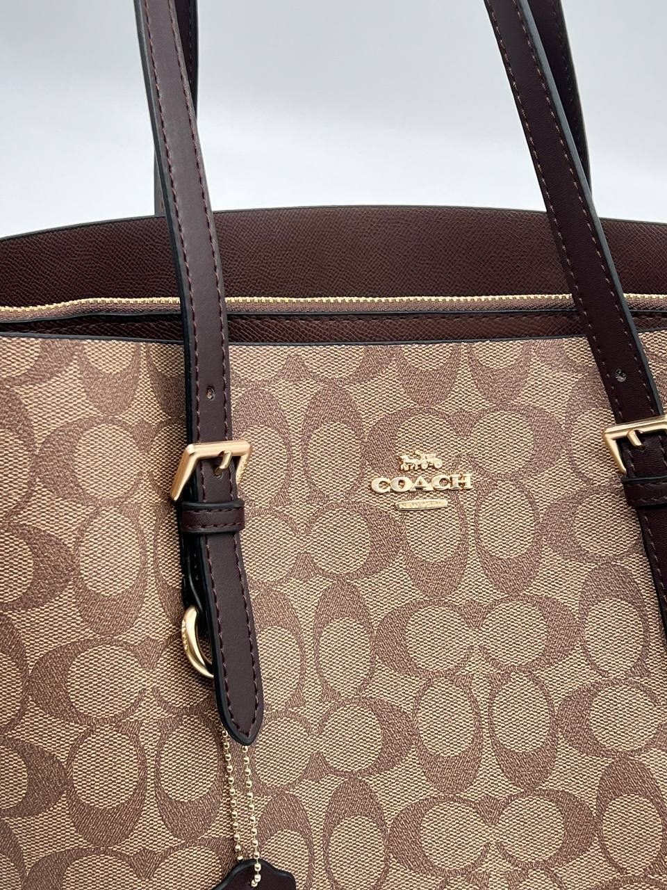 coach женская сумка,сумка coach,сумка тоут coach,женская сумка ручная coach sig mollie tote 1665 коричневая,сумка шоппер coach