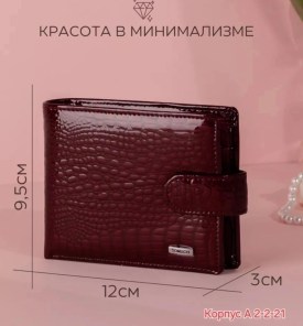 Одежда