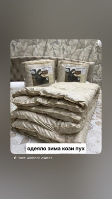 Одежда