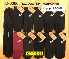Одежда