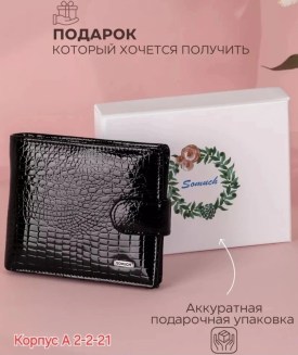 Одежда