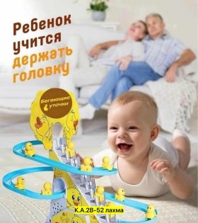 Одежда
