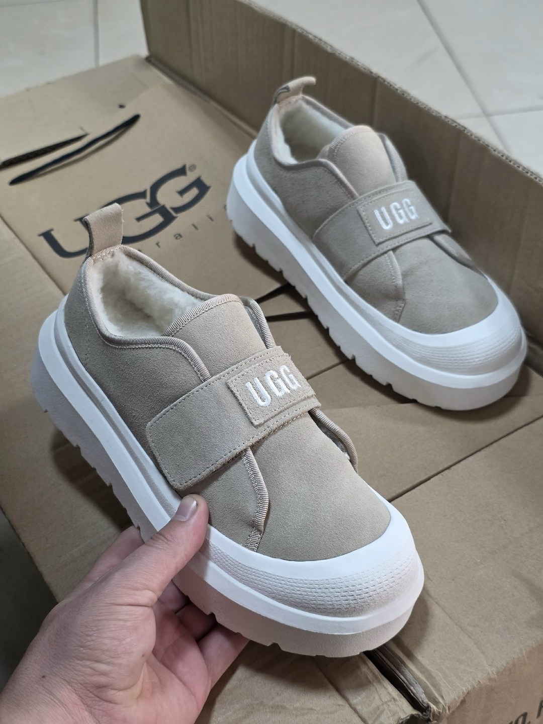 ,женская ,брендовые кеды ugg на толстой подошве с мехом,женские угги,кеды с мехом ugg lady's shoes 278842419
