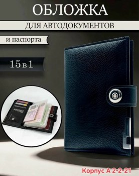 Одежда