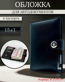 Одежда