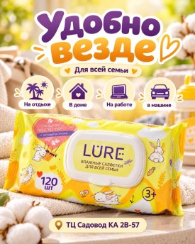 Одежда