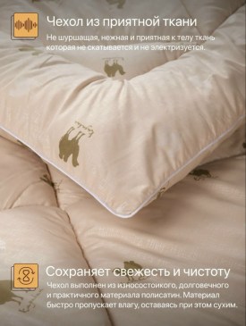 Одежда