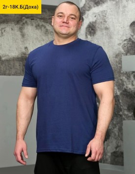 Футболка