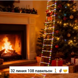 Одежда