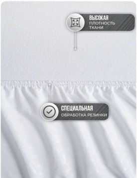 Одежда