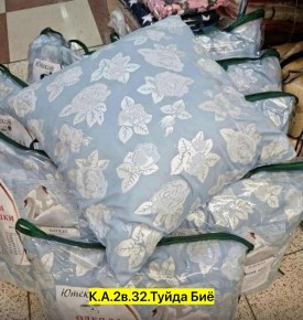 Одежда