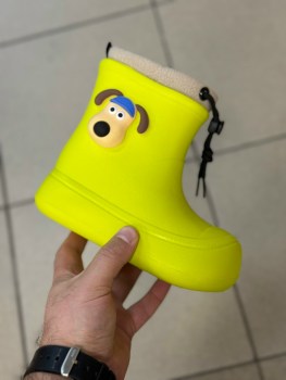 Сапоги