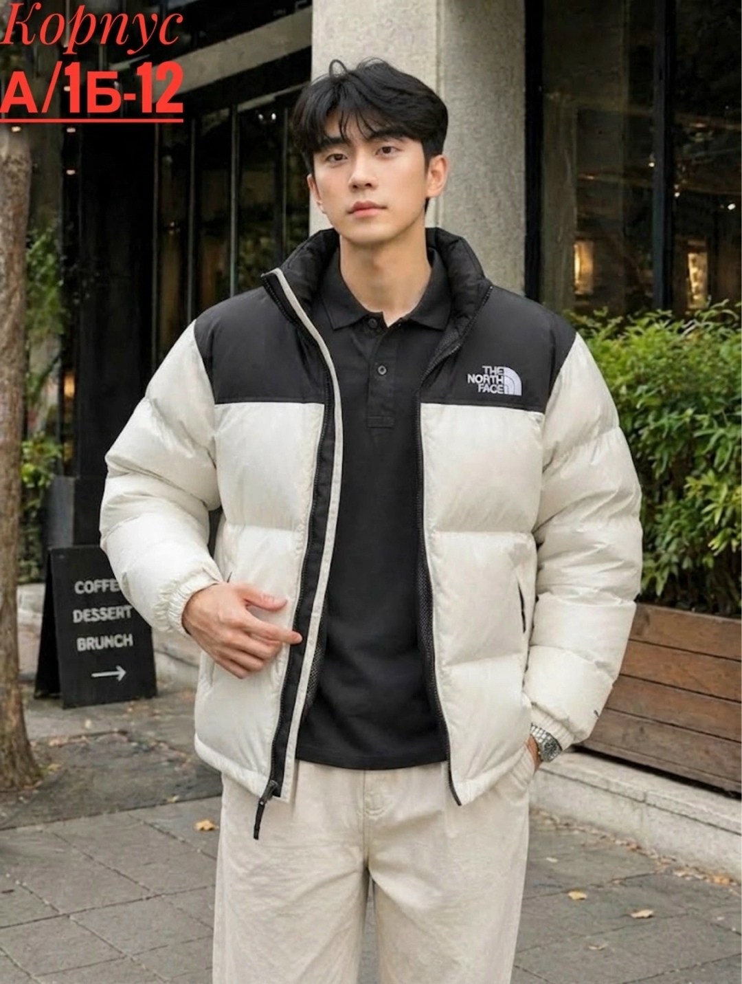 пуховик мужской the north face,пуховики мужские,зимняя мужская куртка,повседневная куртка,пуховик the north face