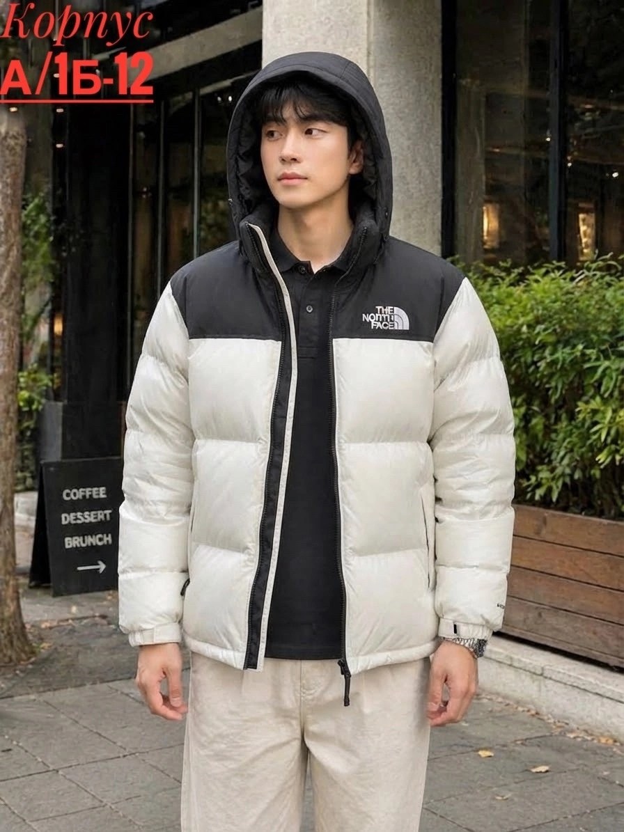 пуховик мужской the north face,пуховики мужские,зимняя мужская куртка,повседневная куртка,пуховик the north face