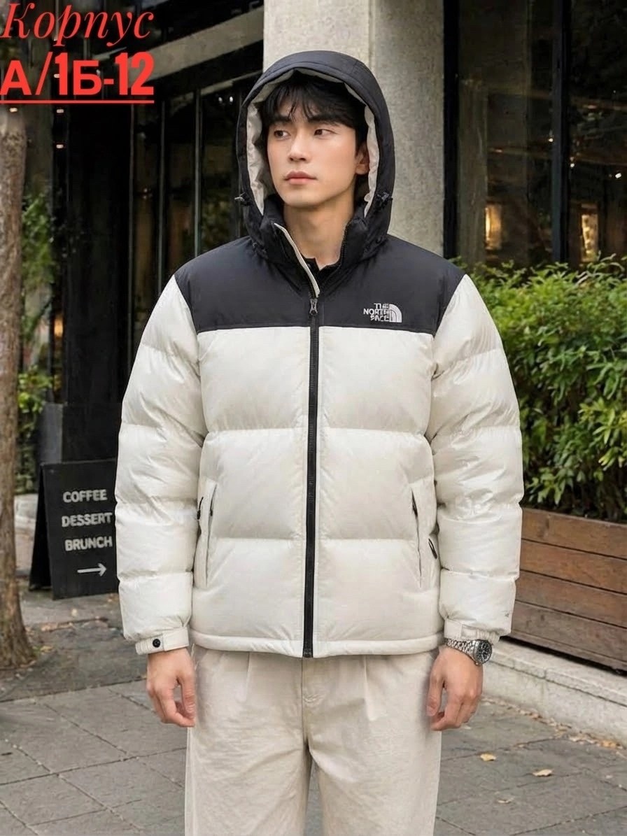 пуховик мужской the north face,пуховики мужские,зимняя мужская куртка,повседневная куртка,пуховик the north face