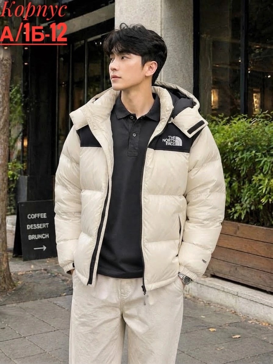 пуховик мужской the north face,пуховики мужские,зимняя мужская куртка,повседневная куртка,пуховик the north face