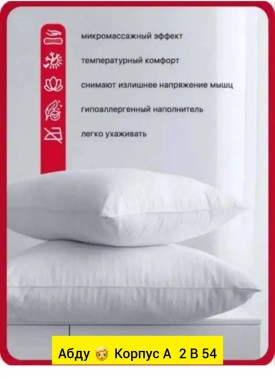Одежда