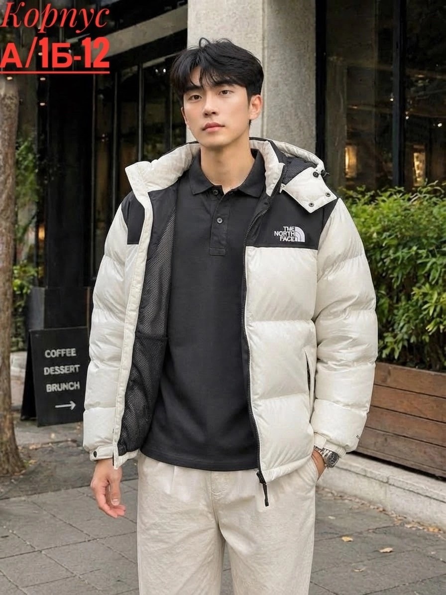 пуховик мужской the north face,пуховики мужские,зимняя мужская куртка,повседневная куртка,пуховик the north face