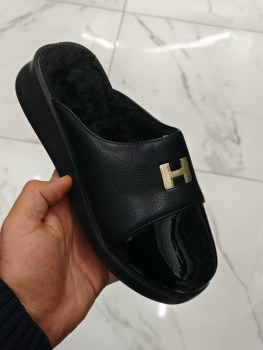 Сланцы
