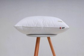 Одежда
