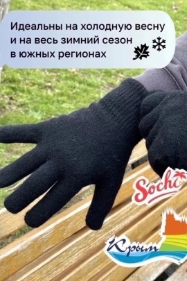Одежда