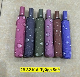 Одежда